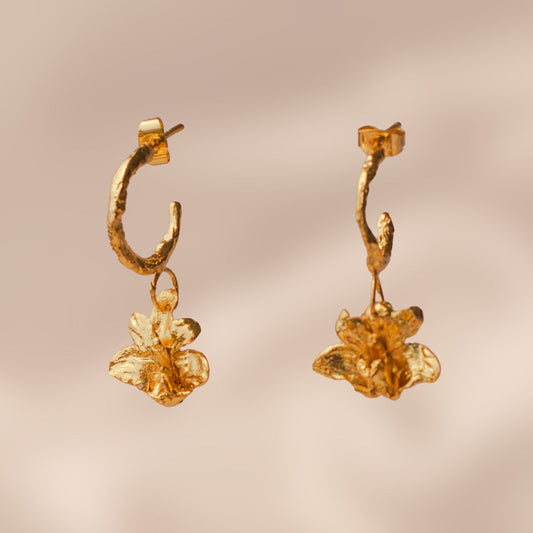 Maxilaria Orchid Hoop Earrings, featuring preserved orchids and 24k gold finish.