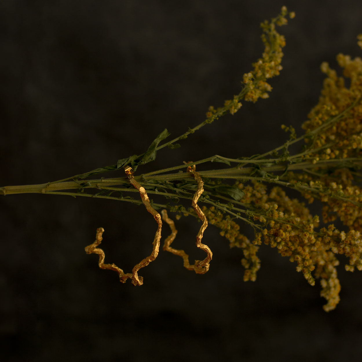 Aretes Candongas Arracadas Aros en ramita de palma natural inmortalizada en bronce bañado en oro de 24k
