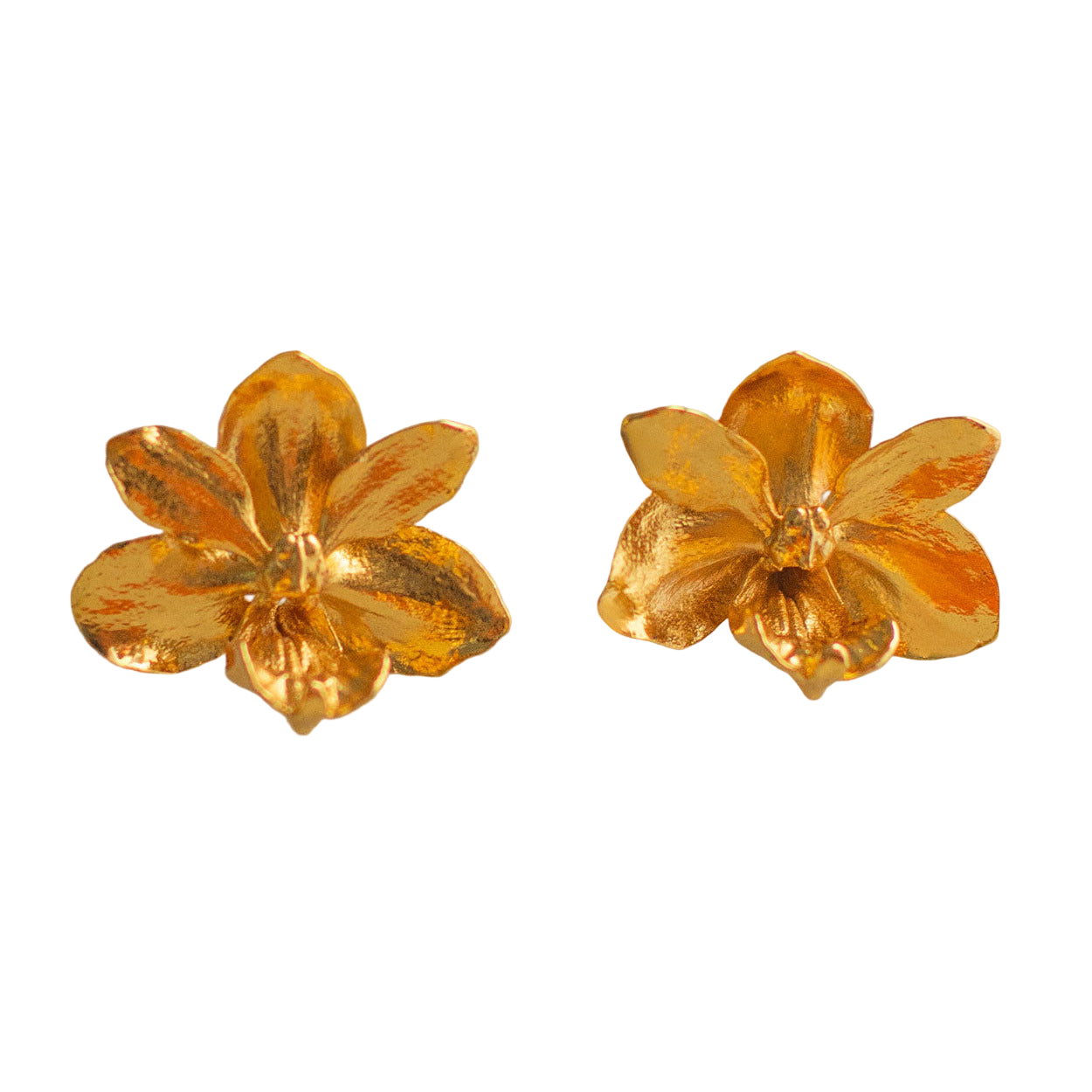 Pendiente de botón Orquidea Vanda Baby