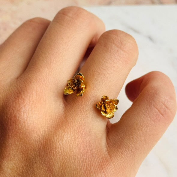 Anillo Dos Suculentas