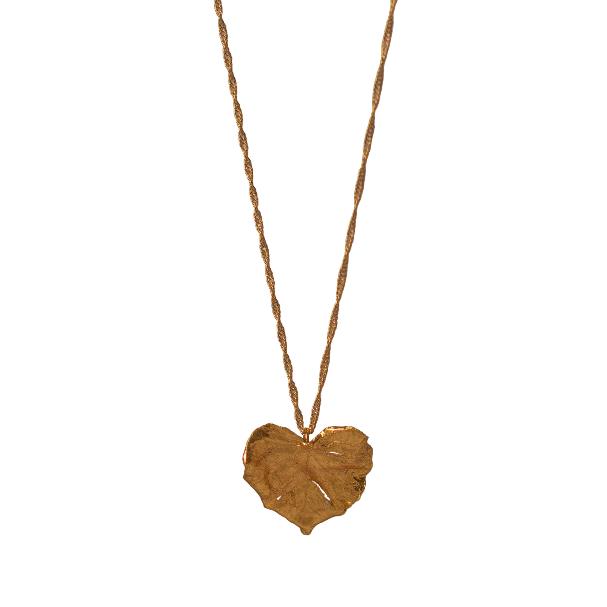 Gargantilla Hoja Corazon Inmortalizado