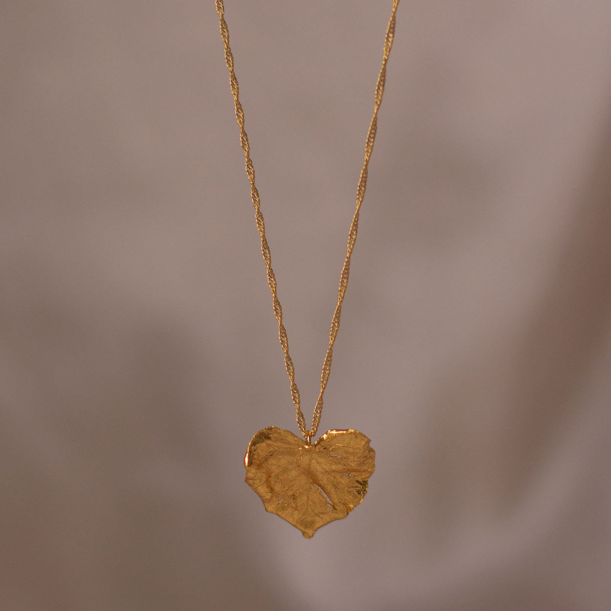Gargantilla Hoja Corazon Inmortalizado