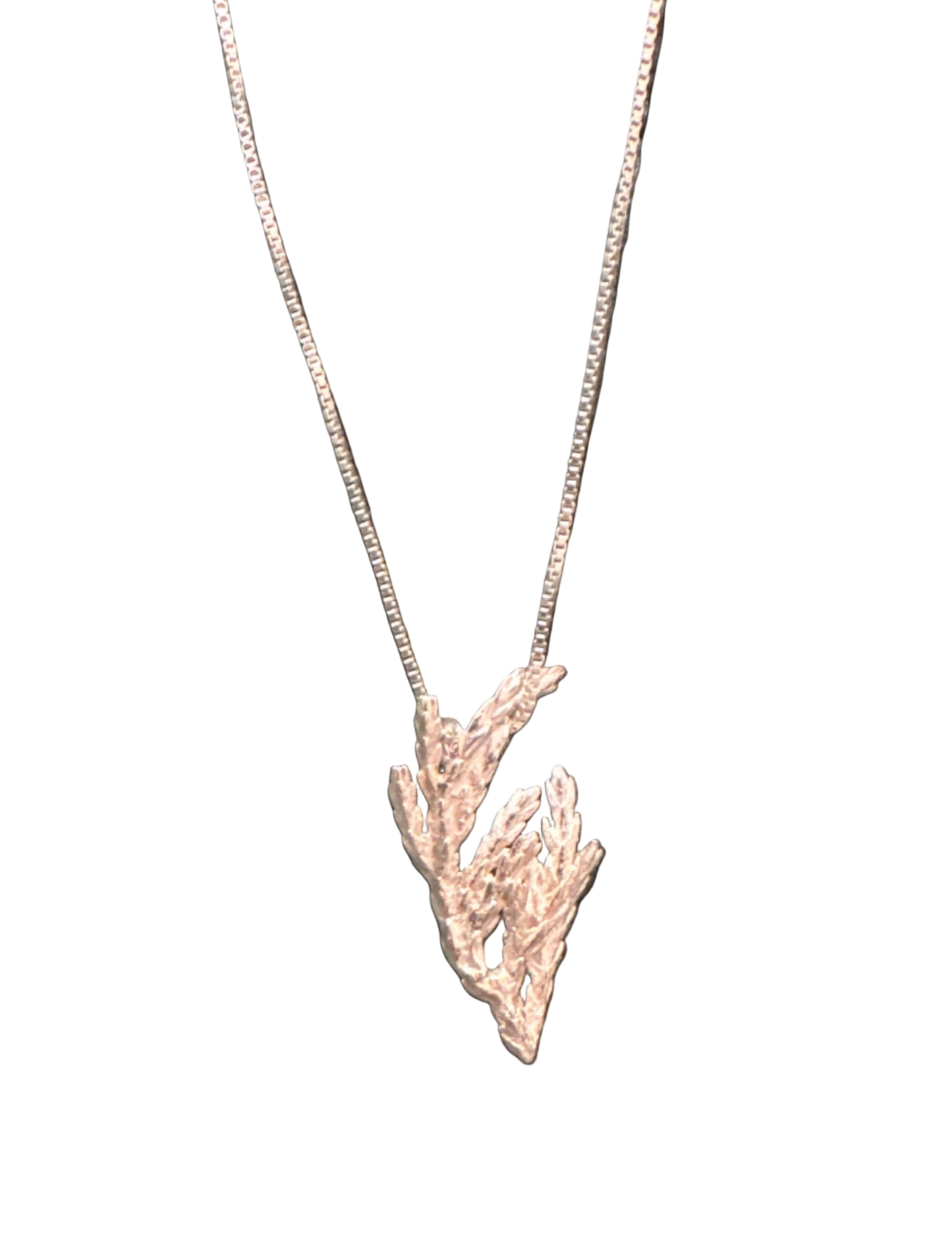 Gargantilla Hoja de Pino Pequeño Plata Ecológica