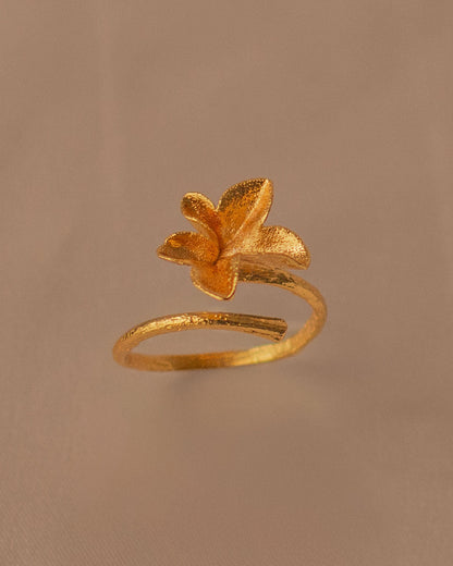 Anillo Hiedra Mediano