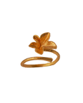 Anillo Hiedra Mediano