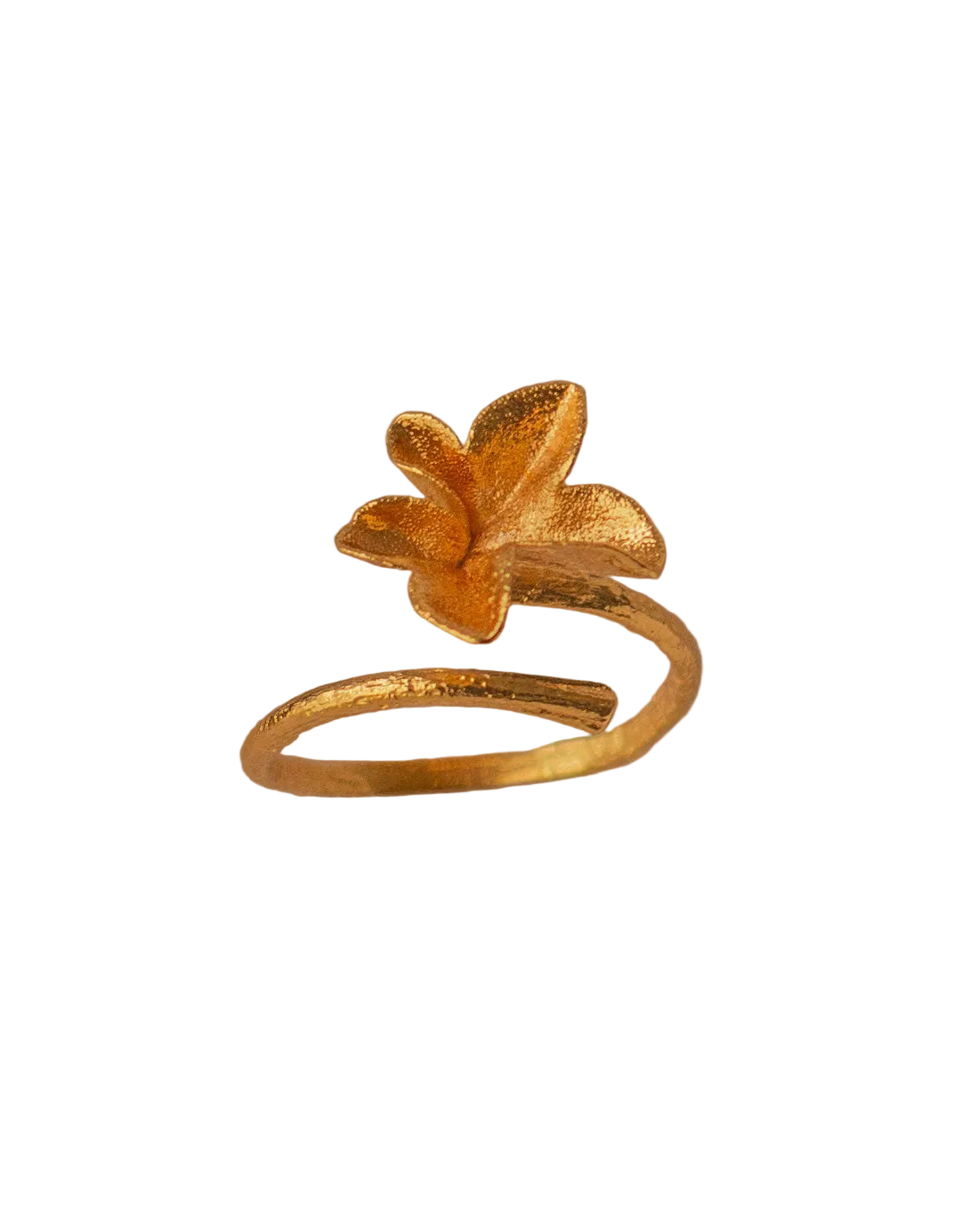 Anillo Hiedra Mediano