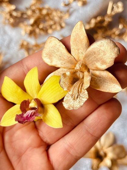 Aretes Orquidea Dendrobium Esmeralda Sauco