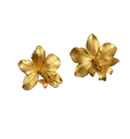 Pendiente Orquidea Epidendrum Radicans