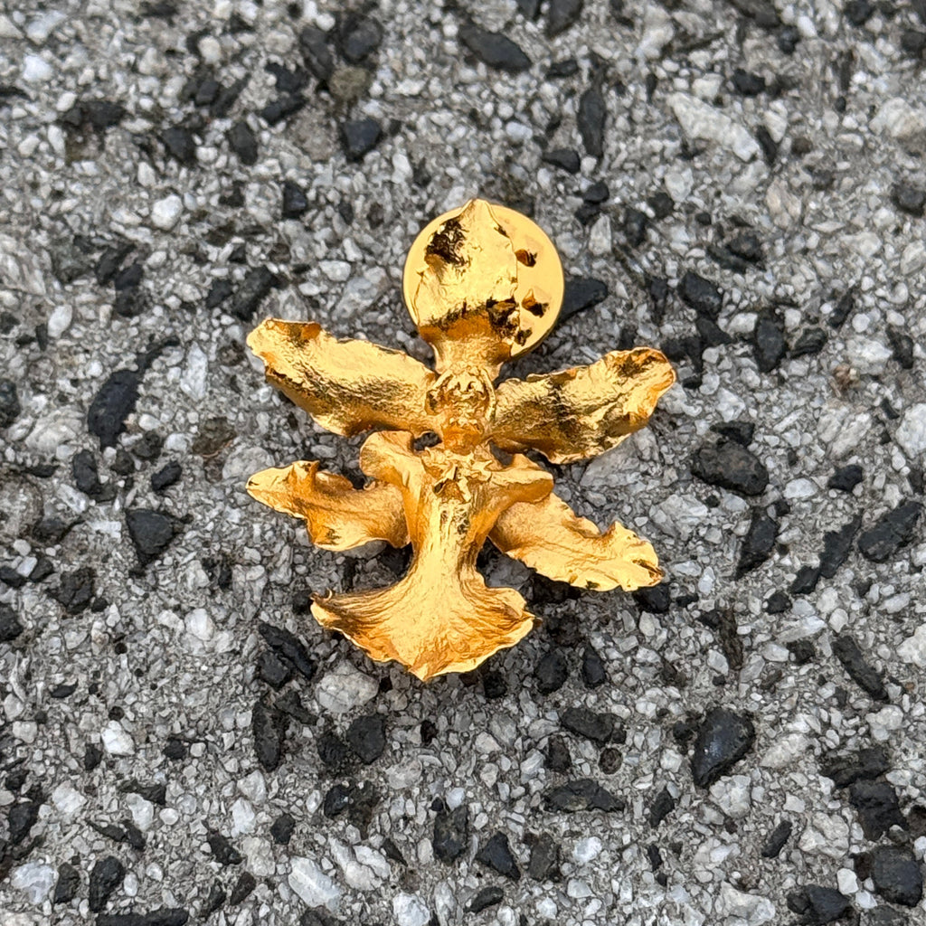 Broche Prendedor Orquidea Chocolate