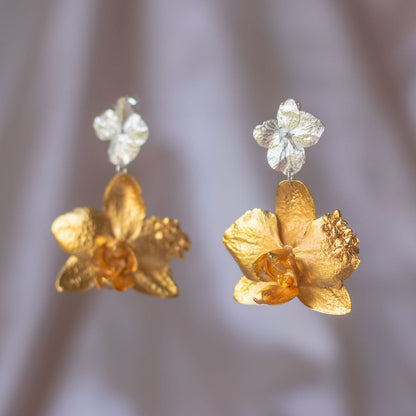 Aretes Orquidea Phalaenopsis & Hortensia