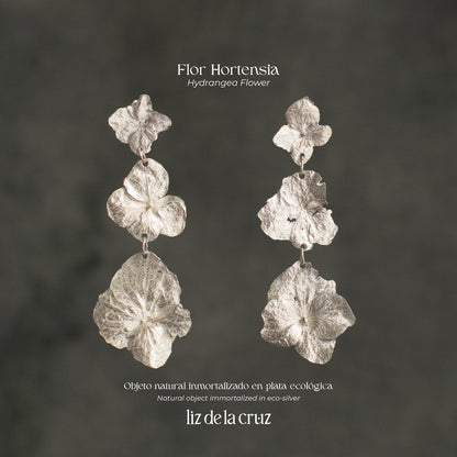 Aretes Tres Hortensias Plata Ecológica, destacando la singularidad de las flores naturales en un brillante acabado en plata