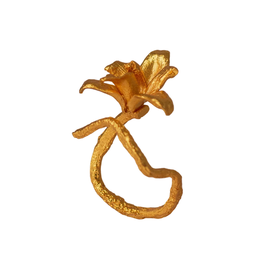 Anillo Orquidea Maxilaria