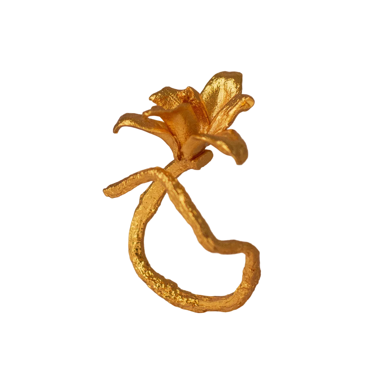 Anillo Orquidea Maxilaria