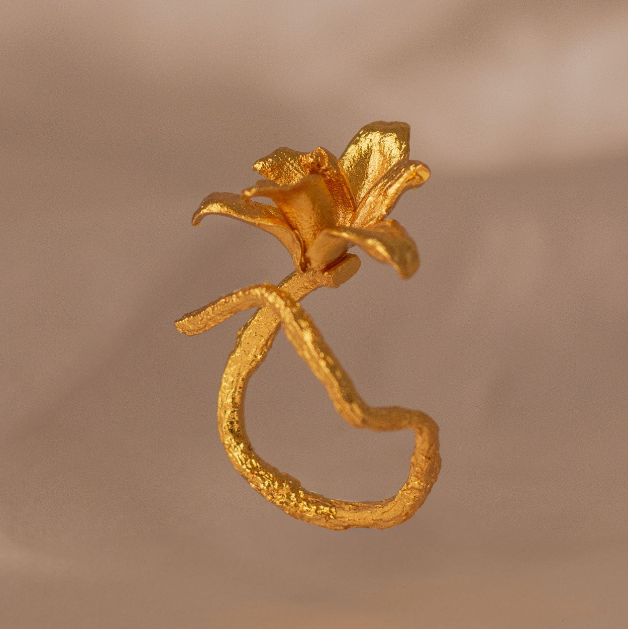 Anillo Orquídea Maxilaria en bronce bañado en oro de 24k, mostrando la forma delicada y única de una flor natural de orquídea