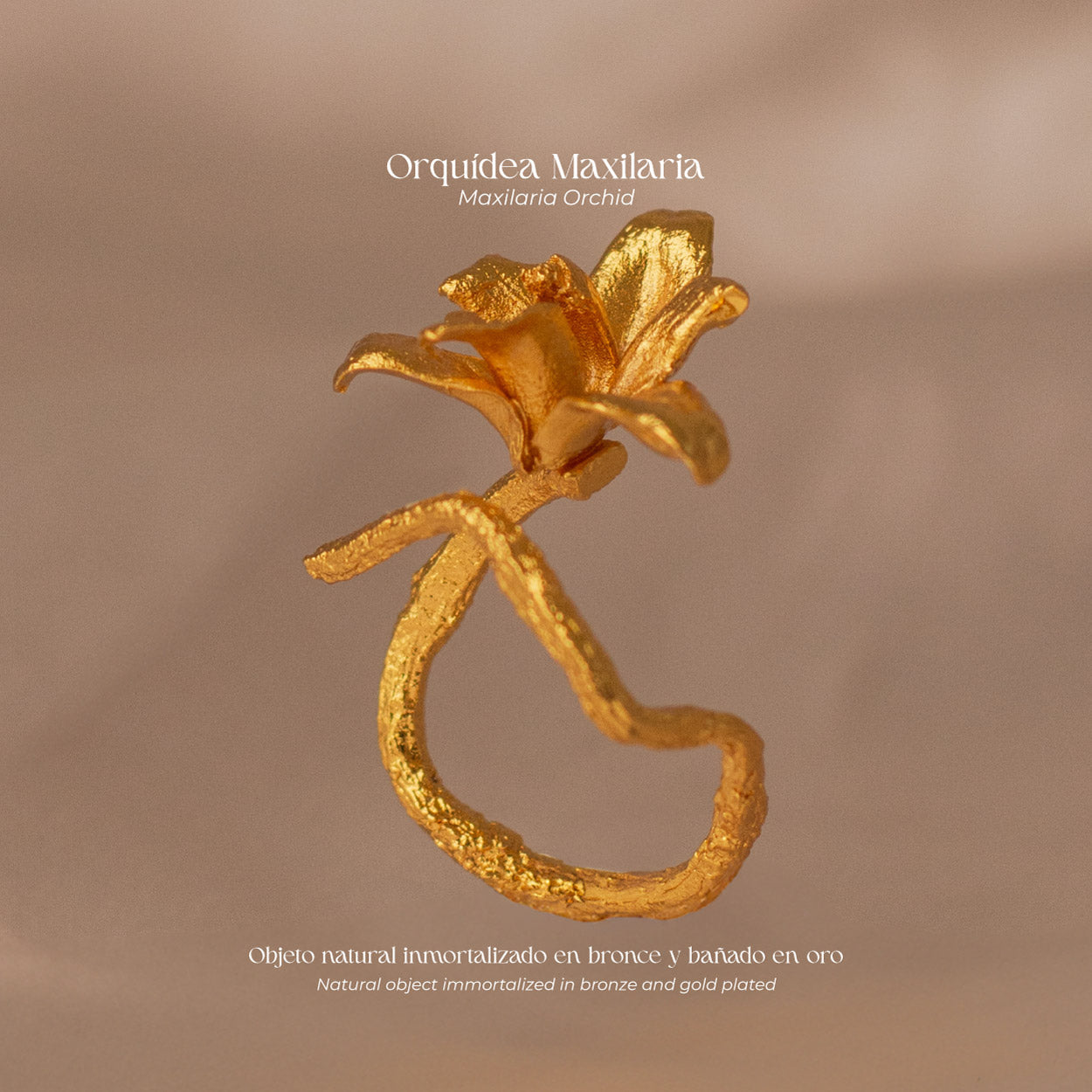 Anillo Orquídea Maxilaria en bronce bañado en oro de 24k, mostrando la forma delicada y única de una flor natural de orquídea