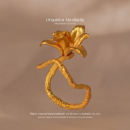 Anillo Orquídea Maxilaria en bronce bañado en oro de 24k, mostrando la forma delicada y única de una flor natural de orquídea