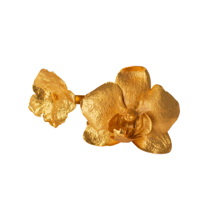 Anillo Orquidea Phalaenopsis Hortensia