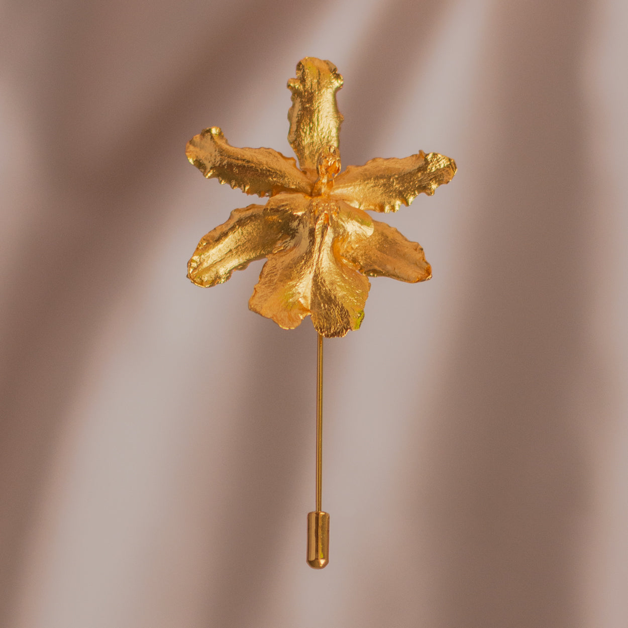 Odontoglossum Orchid Brooch in bronze with 24k gold plating, showcasing the delicate details of the orchid flower.