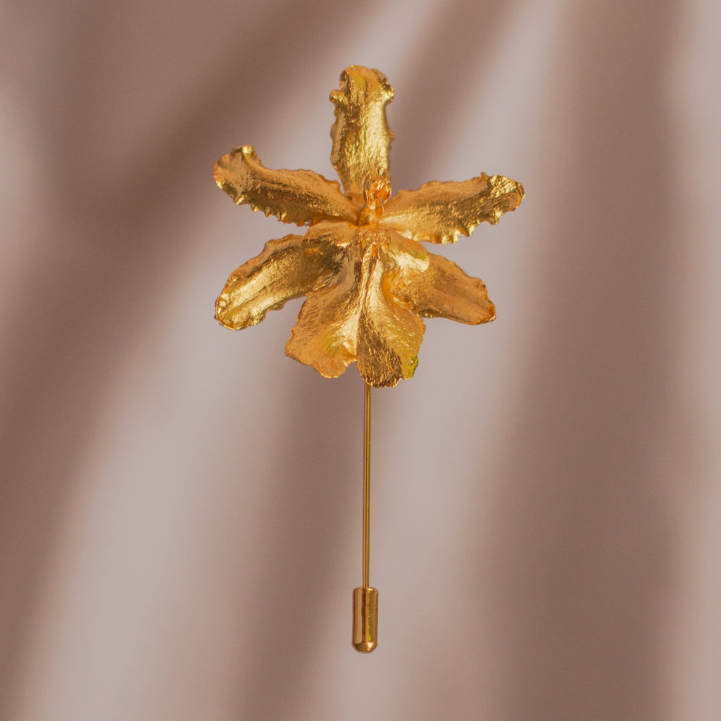 Broche Orquidea Odontoglossum