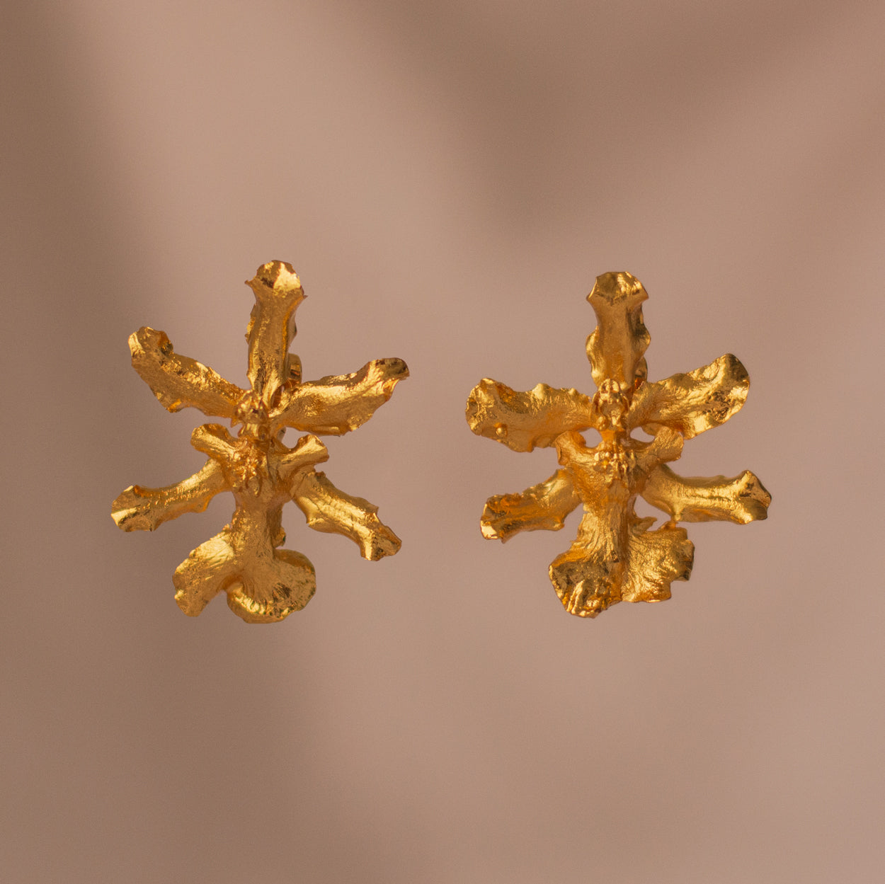 Aretes Topo Orquídea Chocolate en bronce bañado en oro de 24k, destacando la singularidad y la belleza de las flores Oncidium Sharry Baby