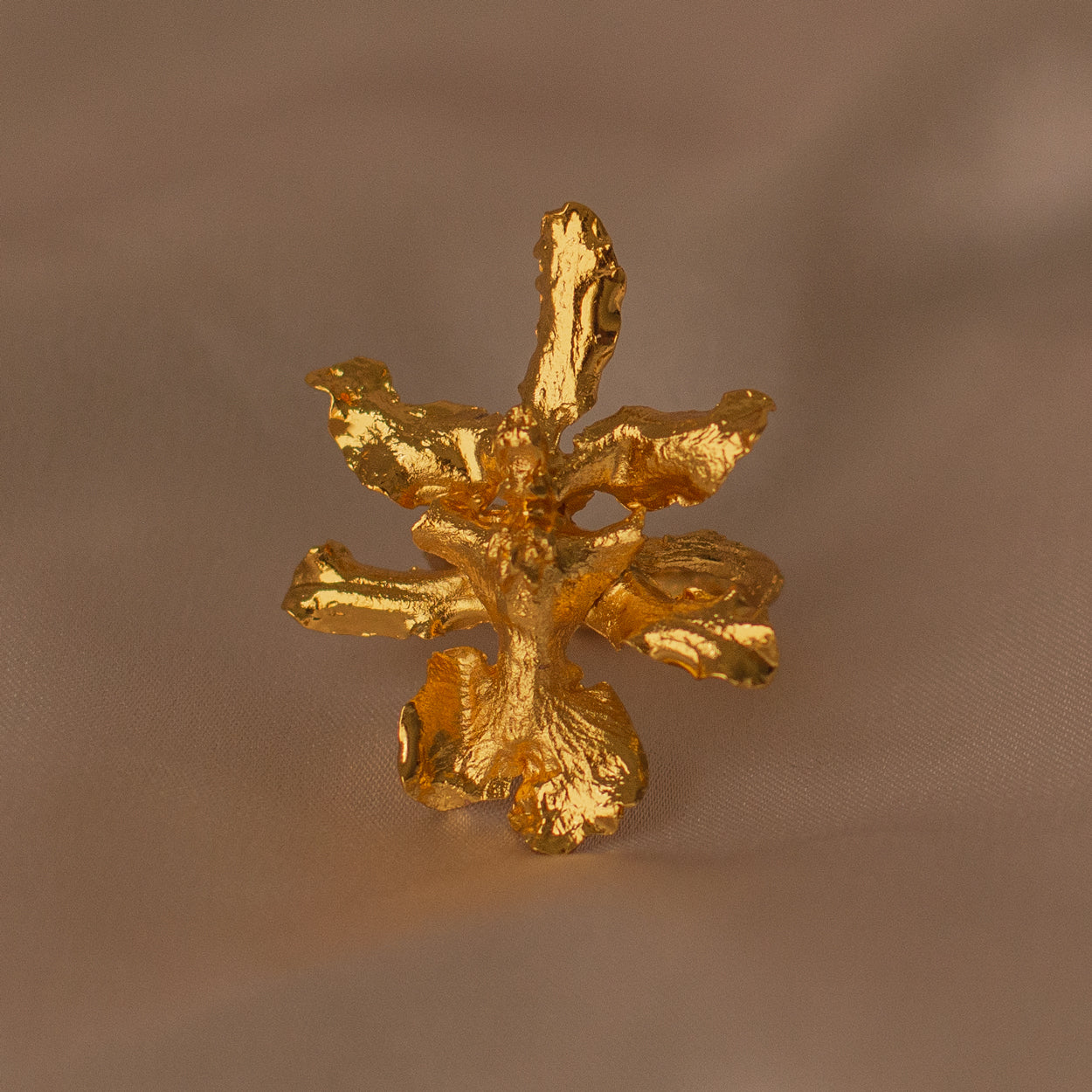 Oncidium Sharry Baby Orchid Ring in bronze with 24k gold plating, featuring a preserved orchid flower.
