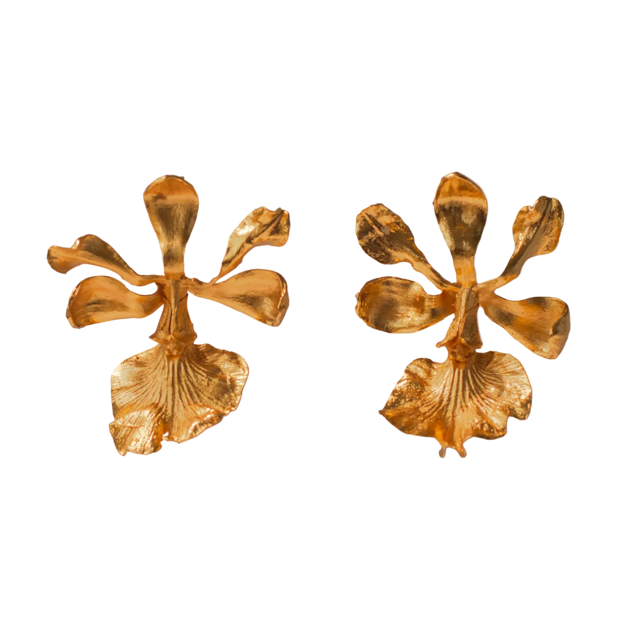 Pendientes Orquidea Encyclia Cordigera