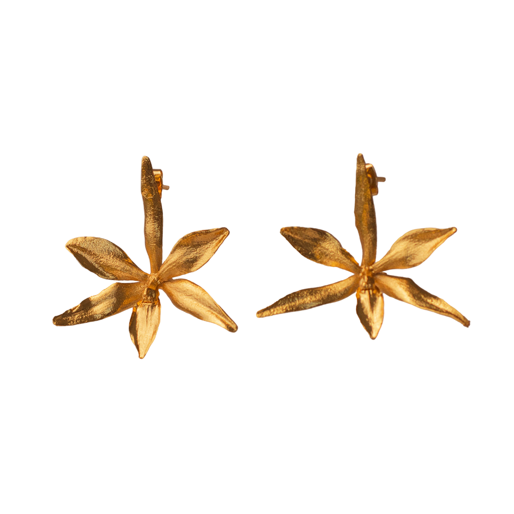 Pendiente de botón Orquidea Prosthechea Fragans