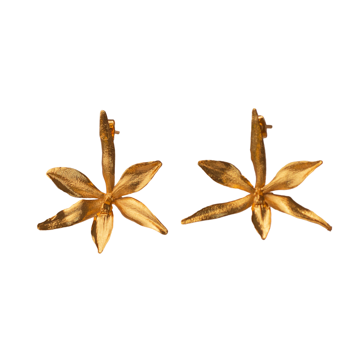 Pendiente de botón Orquidea Prosthechea Fragans