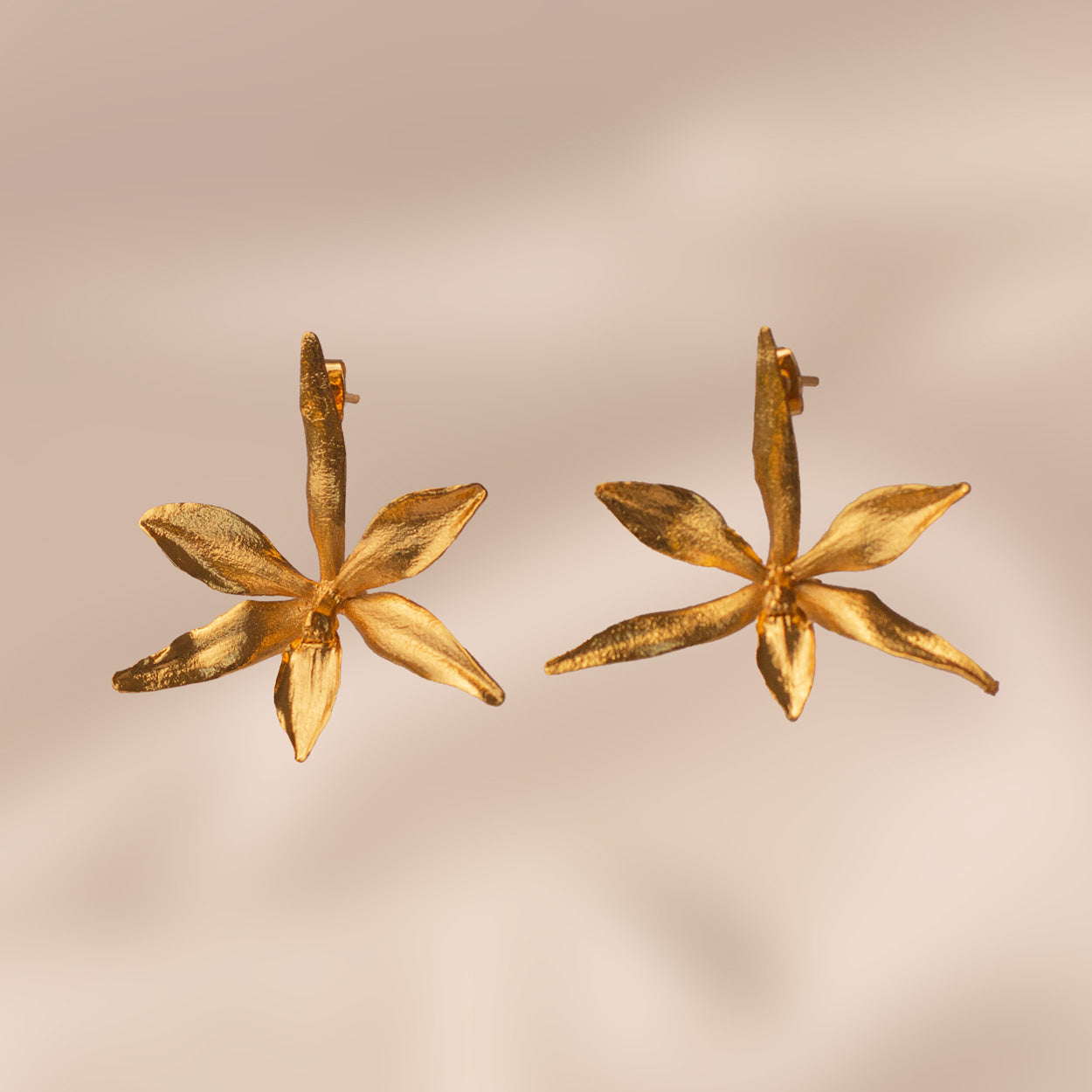 Aretes Orquídea Prosthechea Fragans en bronce bañado en oro de 24k, destacando la belleza única de las flores naturales inmortalizadas.