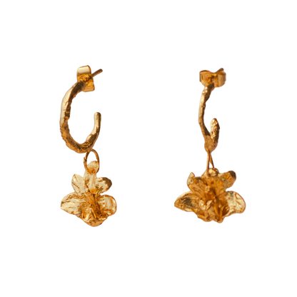 Aretes Candonga Orquidea Maxilaria
