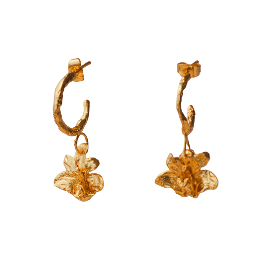 Aretes Candonga Orquidea Maxilaria