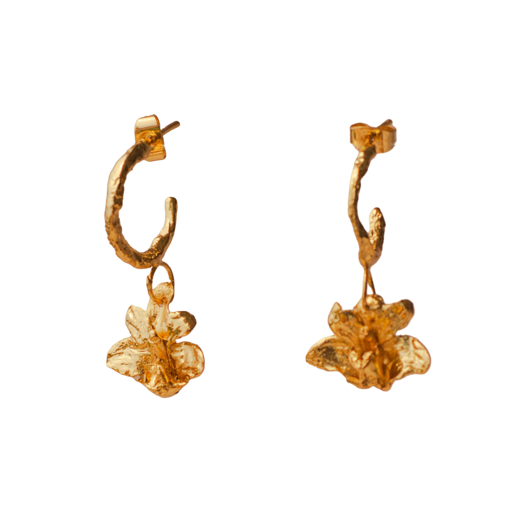 Pendiente colgante Orquidea Maxilaria