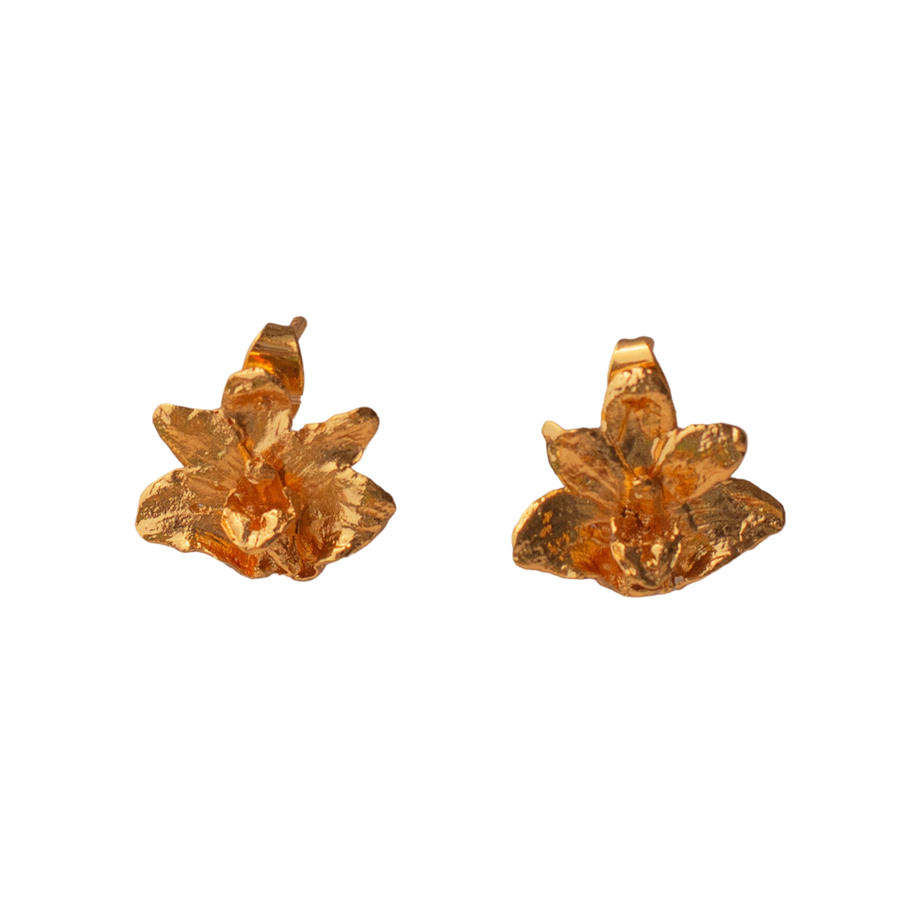 Pendientes Orquidea Maxilaria