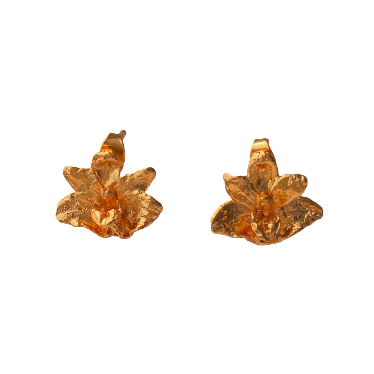 Pendientes Orquidea Maxilaria