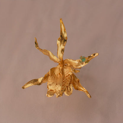 Anillo Orquidea Brassia Esmeralda