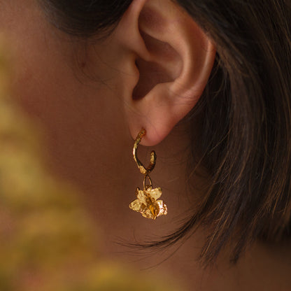 Aretes Candonga Orquídea Maxilaria en bronce bañado en oro de 24k, destacando la belleza única de las flores inmortalizadas