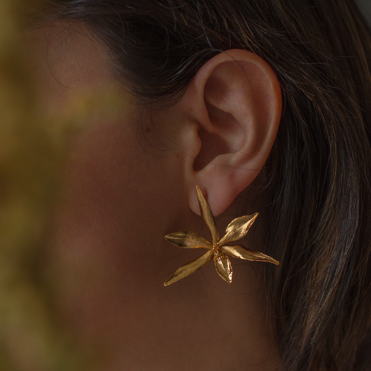 Aretes Orquídea Prosthechea Fragans en bronce bañado en oro de 24k, destacando la belleza única de las flores naturales inmortalizadas.