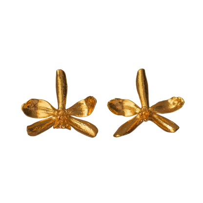 Aretes Topo Orquidea Prosthechea Crassilabia