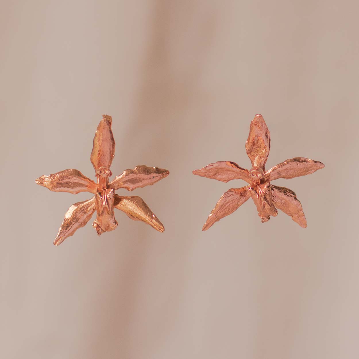 Orchid Oncidium Maculatum Stud Earrings