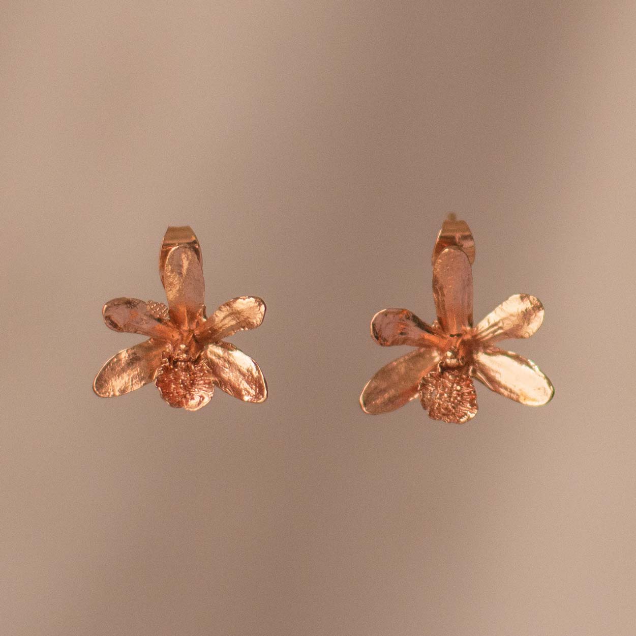 Florida Dollar Orchid Stud Earrings, handcrafted and gold-plated, capturing the delicate beauty of natural flowers.