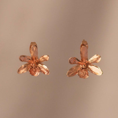 Florida Dollar Orchid Stud Earrings, handcrafted and gold-plated, capturing the delicate beauty of natural flowers.