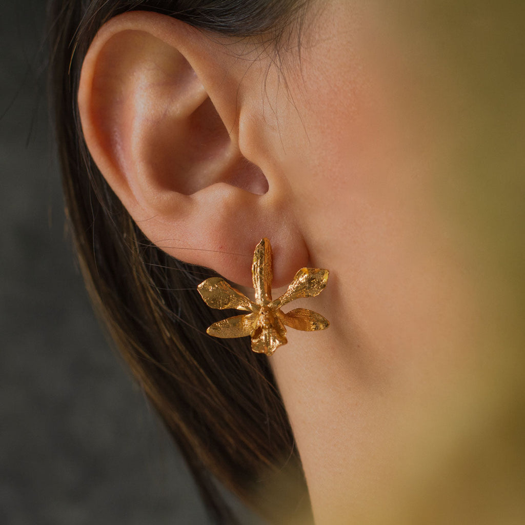 Pendientes boton Orquidea Prosthechea Sceptra