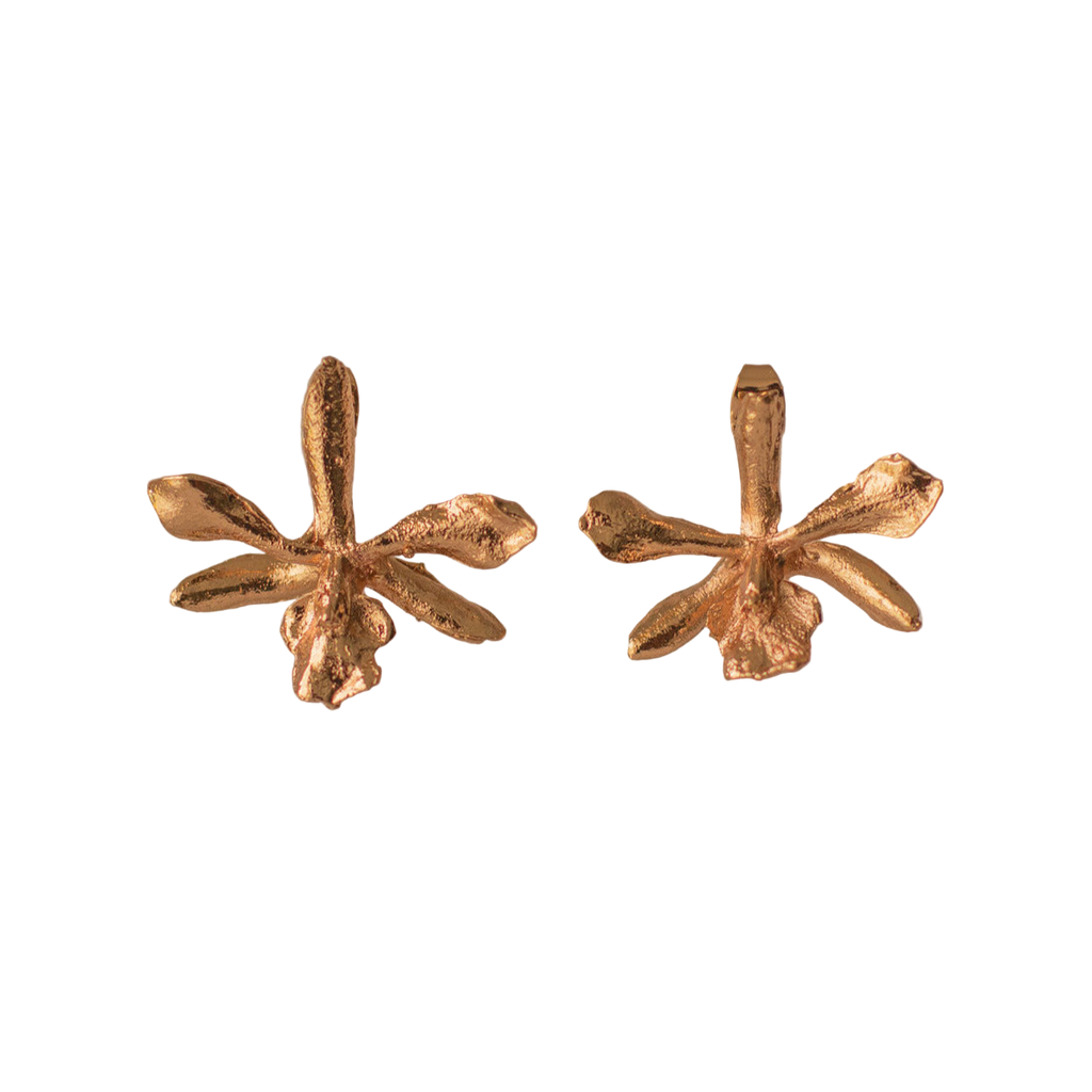 Pendientes boton Orquidea Prosthechea Sceptra