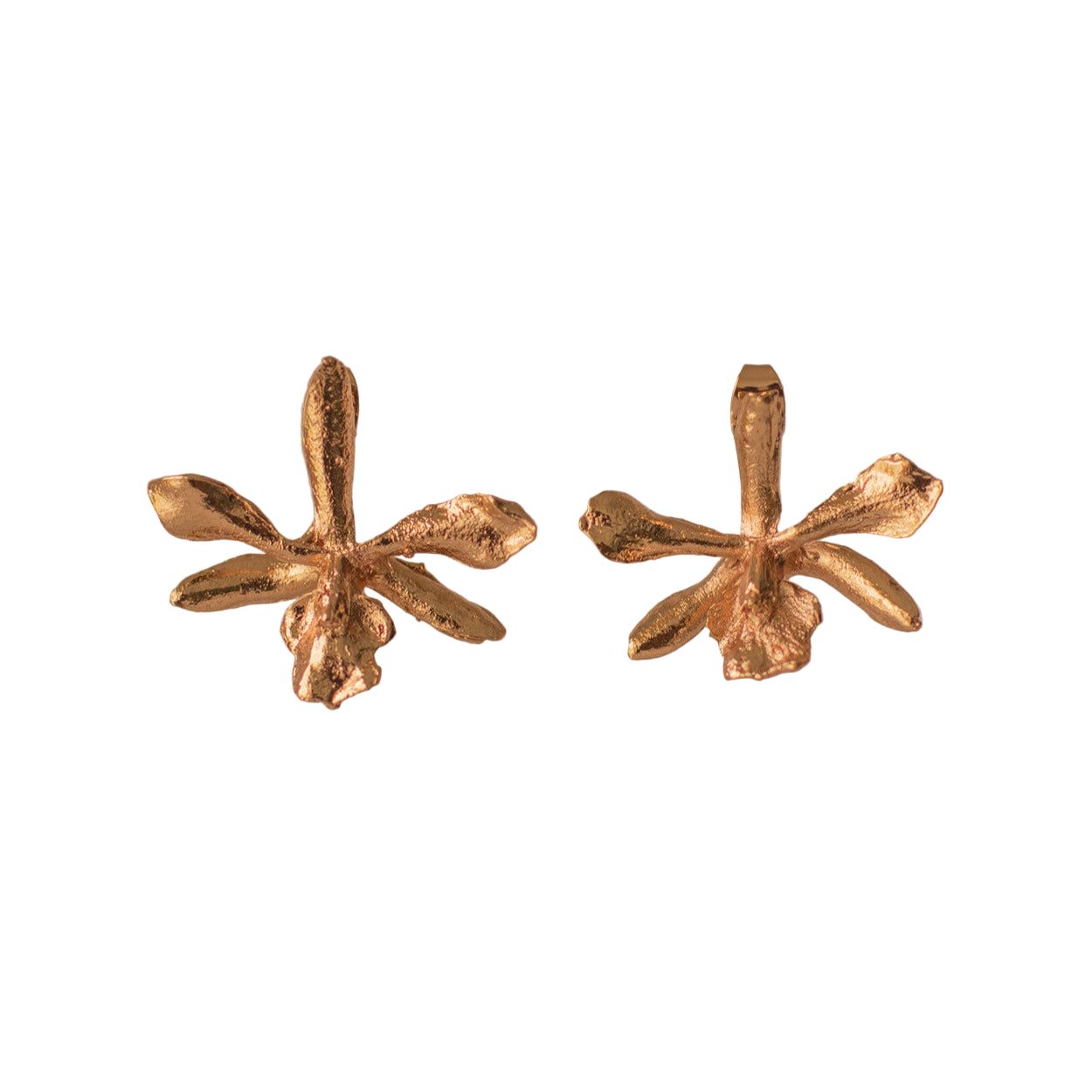 Pendientes Topo Orquidea Prosthechea Sceptra