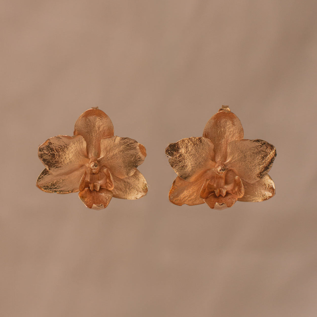 Pendiente de botón Orquidea Phalaenopsis Baby