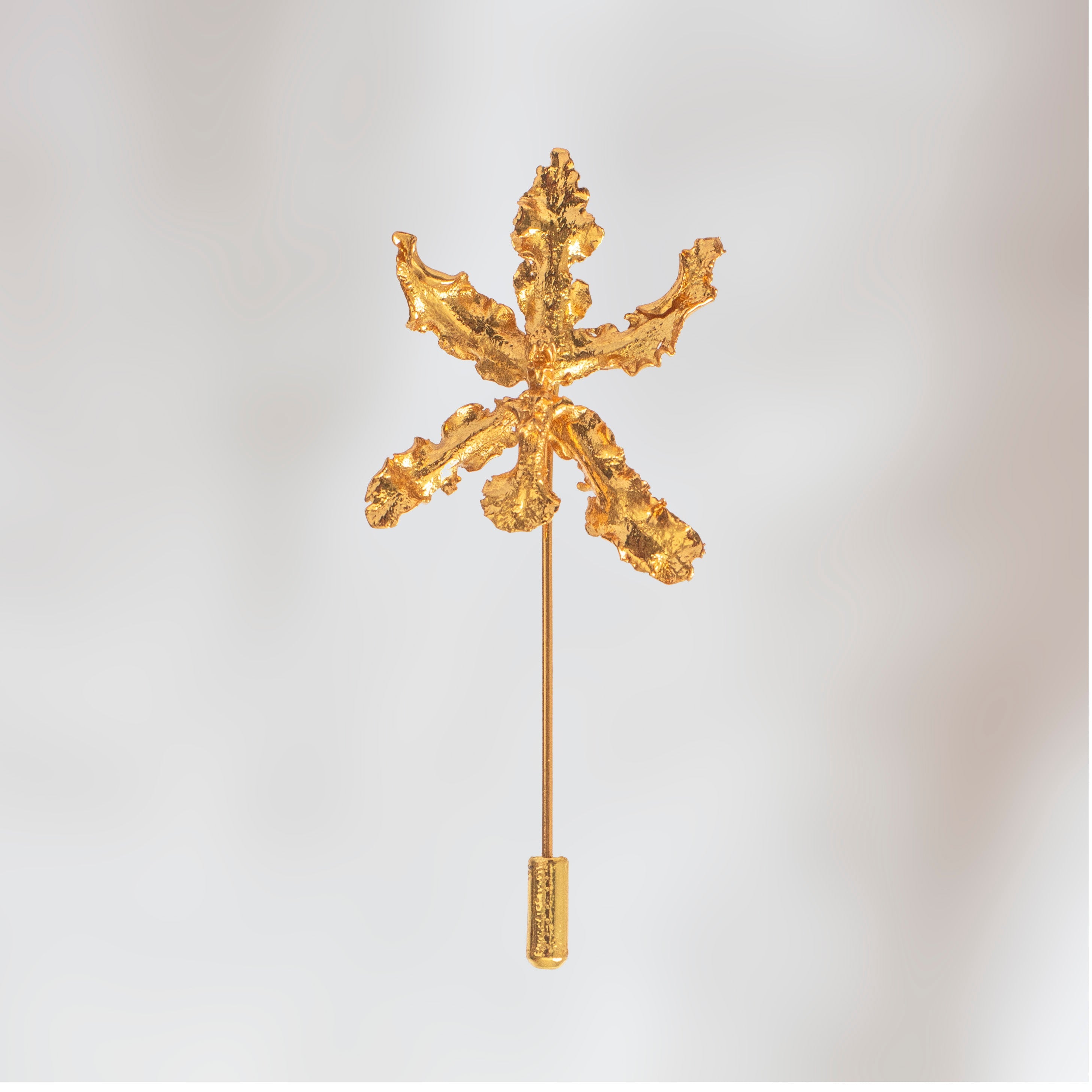 Broche Orquidea Cyrtochillum