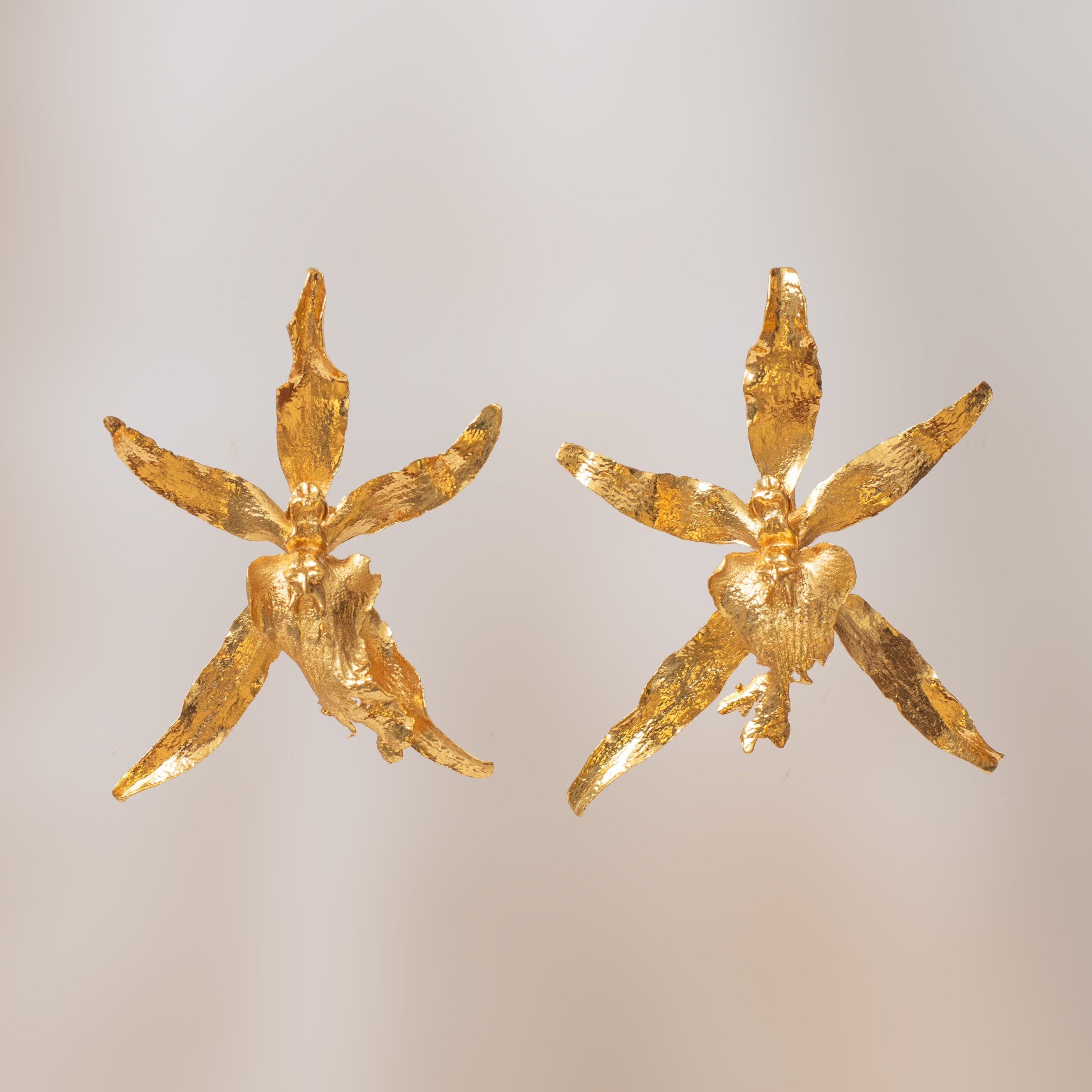 Pendiente Orquidea Brassia