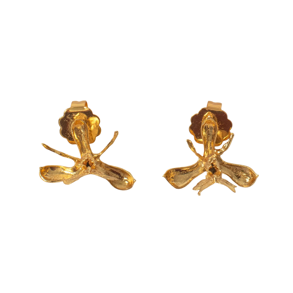 Pendiente de botón Orquidea Epidendrum Capricornu