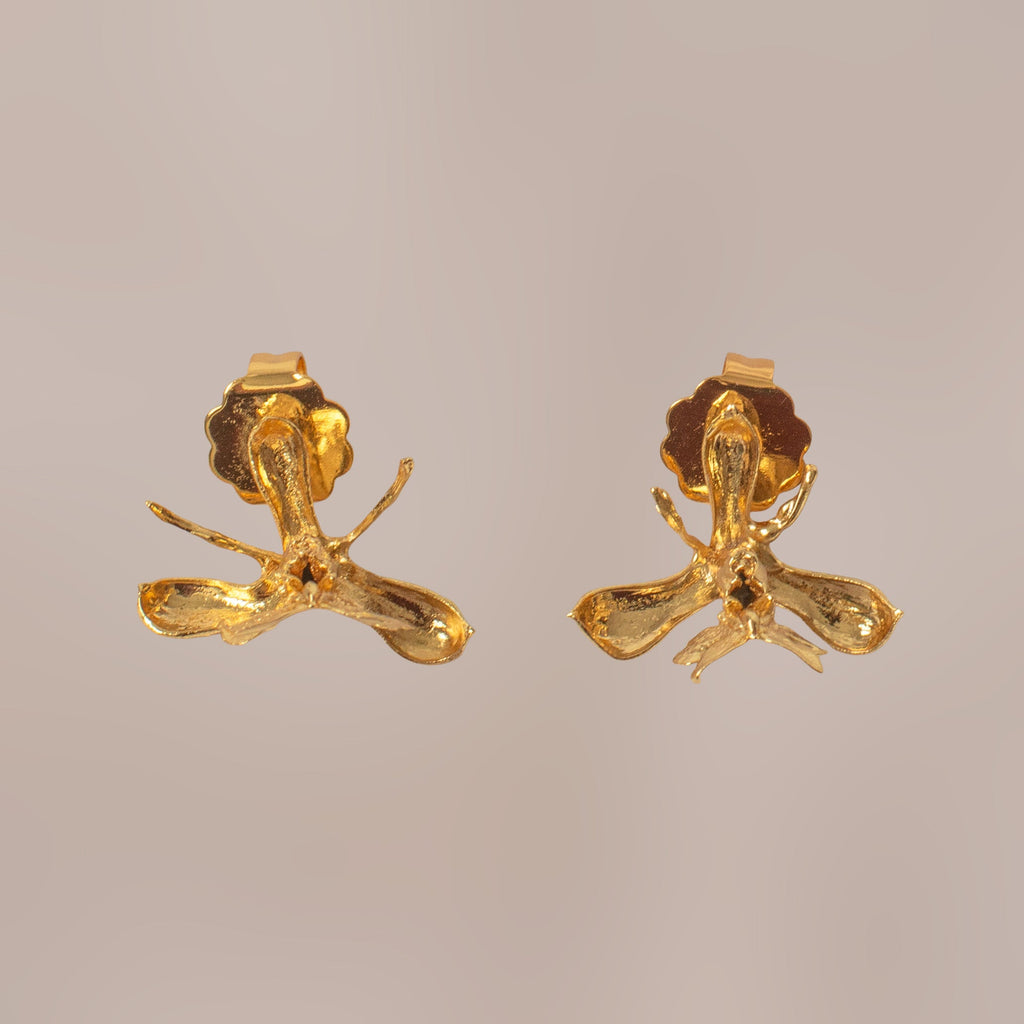 Pendiente de botón Orquidea Epidendrum Capricornu