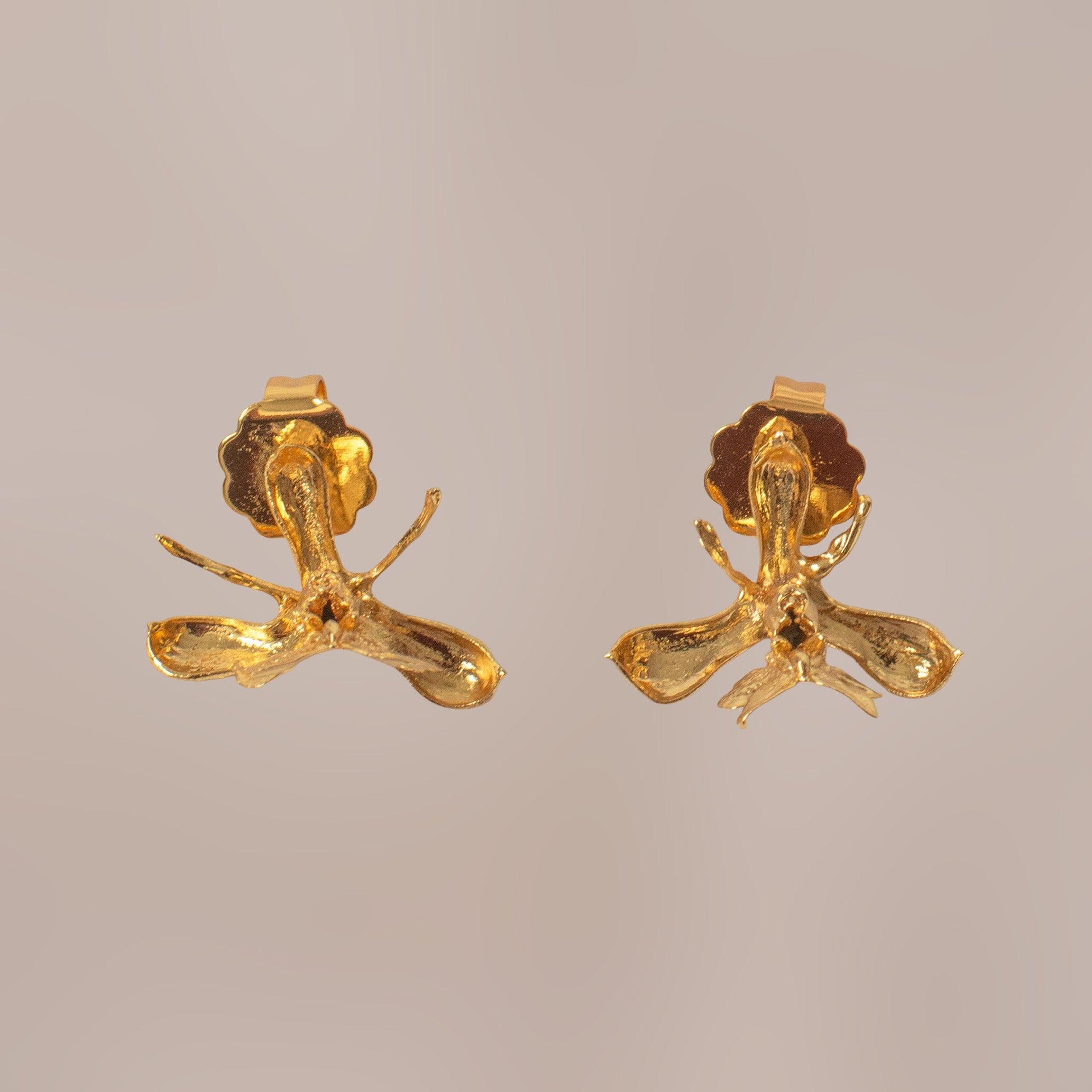 Pendiente de botón Orquidea Epidendrum Capricornu